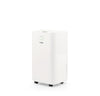 Desumidificador Digital 10L 1317FL FLAMA