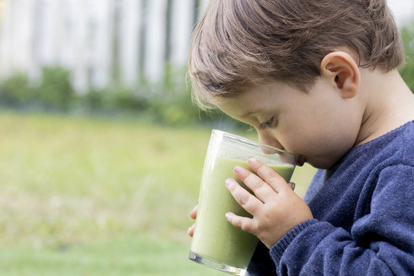Smoothie verde de espinafres e abacate